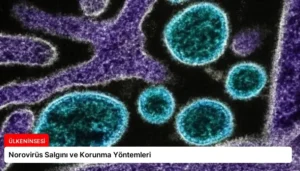 Norovirüs Salgını ve Korunma Yöntemleri