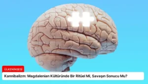 Kannibalizm: Magdalenian Kültüründe Bir Ritüel Mi, Savaşın Sonucu Mu?