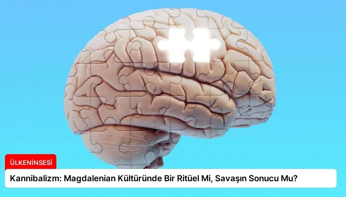 Kannibalizm: Magdalenian Kültüründe Bir Ritüel Mi, Savaşın Sonucu Mu?