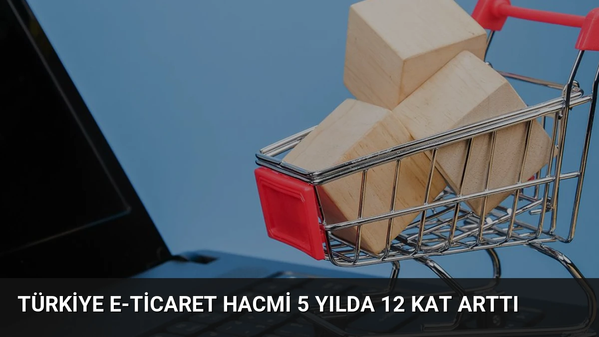 Türkiye E-Ticaret Hacmi 5 Yılda 12 Kat Arttı