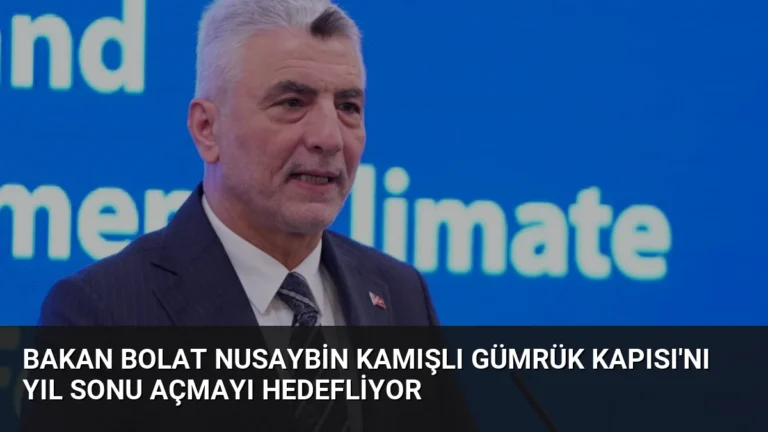 Bakan Bolat Nusaybin Kamışlı Gümrük Kapısı’nı Yıl Sonu Açmayı Hedefliyor
