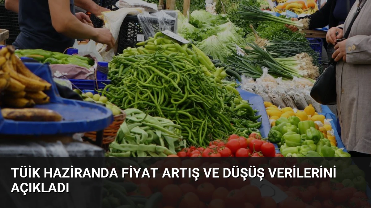 TÜİK Haziranda Fiyat Artış ve Düşüş Verilerini Açıkladı