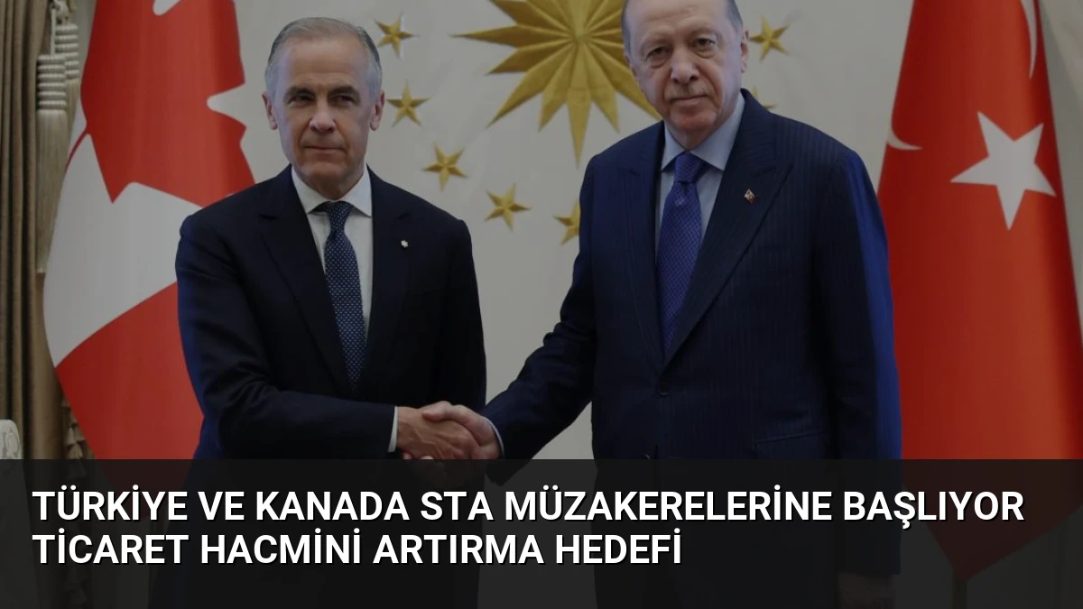 Türkiye ve Kanada STA Müzakerelerine Başlıyor Ticaret Hacmini Artırma Hedefi