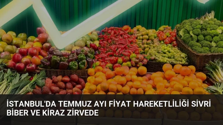 İstanbul’da Temmuz Ayı Fiyat Hareketliliği Sivri Biber ve Kiraz Zirvede