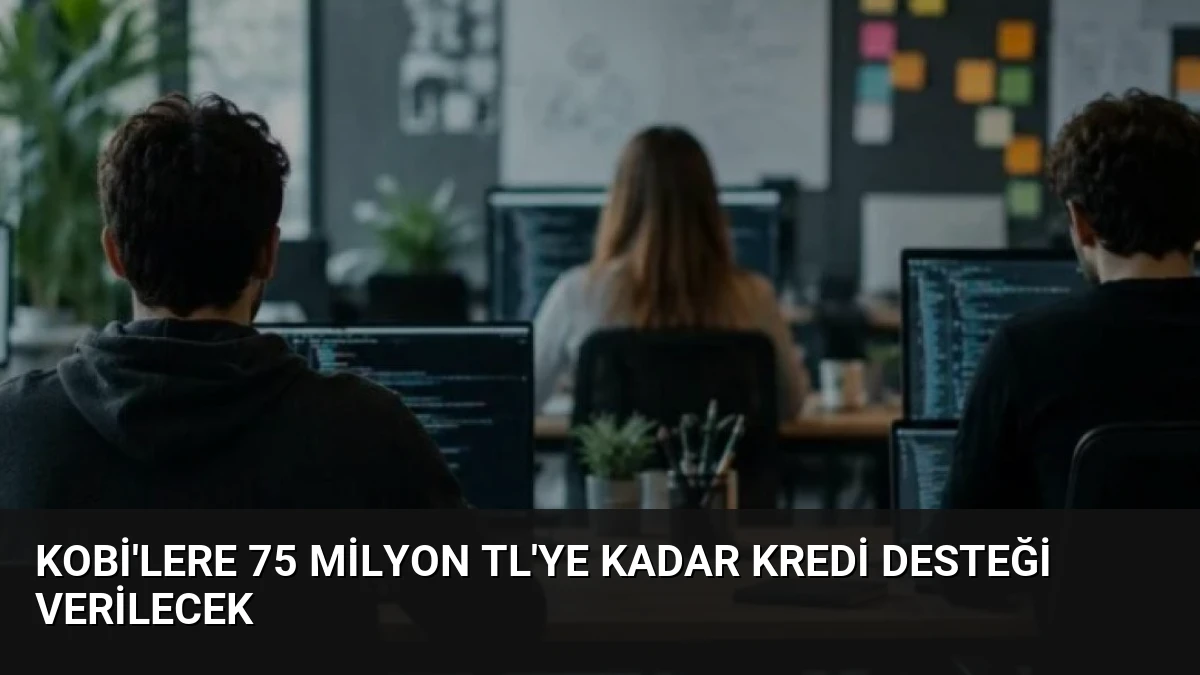 KOBİ’lere 75 milyon TL’ye kadar kredi desteği verilecek