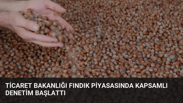 Ticaret Bakanlığı Fındık Piyasasında Kapsamlı Denetim Başlattı