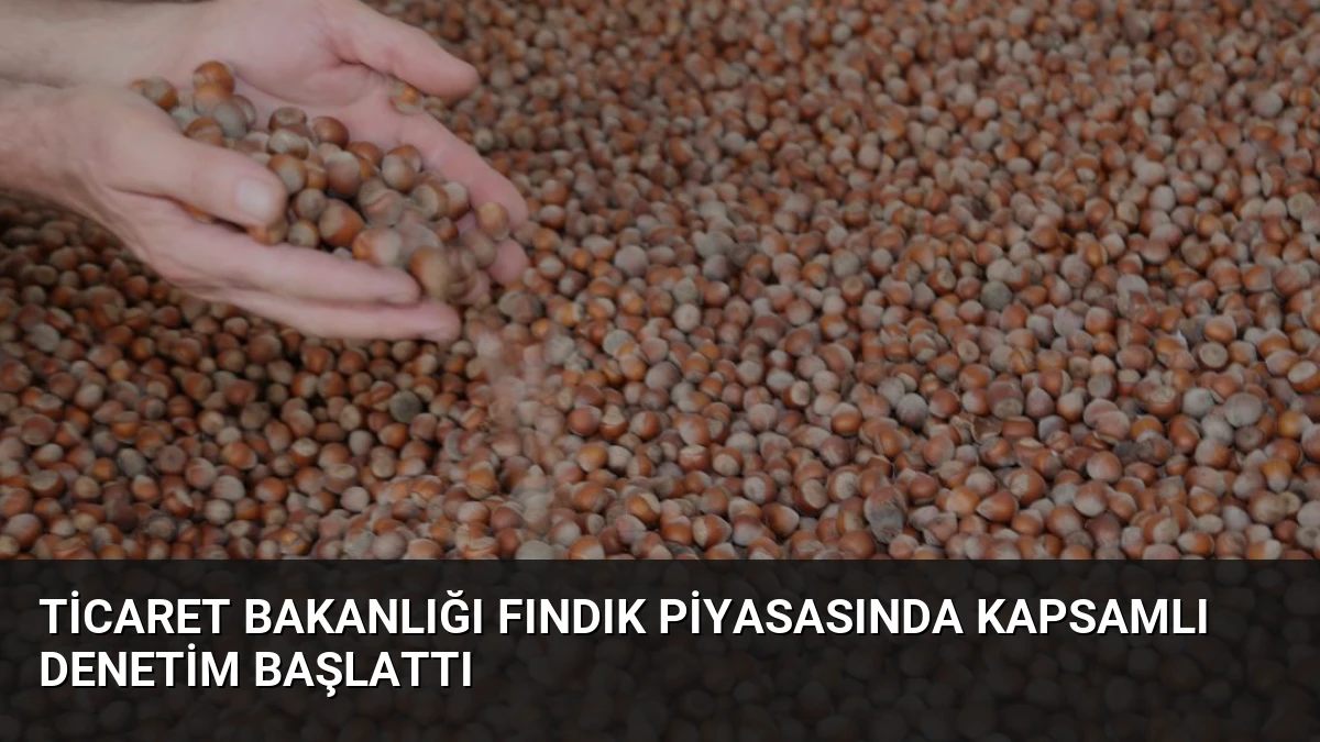 Ticaret Bakanlığı Fındık Piyasasında Kapsamlı Denetim Başlattı