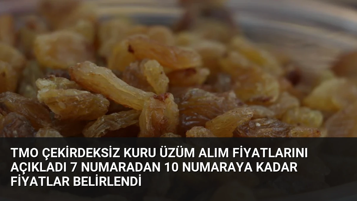 TMO Çekirdeksiz Kuru Üzüm Alım Fiyatlarını Açıkladı 7 Numaradan 10 Numaraya Kadar Fiyatlar Belirlendi