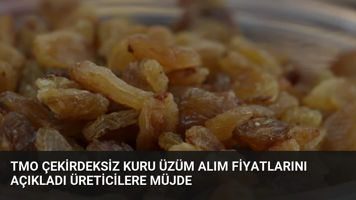 TMO Çekirdeksiz Kuru Üzüm Alım Fiyatlarını Açıkladı Üreticilere Müjde